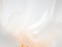 DSC 4877''s