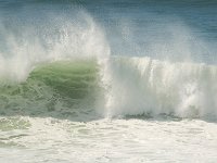 Wave 浪潮