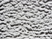 Snow 冬雪6