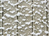 Snow 冬雪7