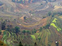 Yuanyang 元阳1