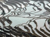 Yuanyang 元阳16