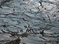Yuanyang 元阳17
