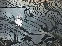 Yuanyang 元阳19