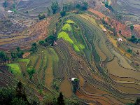 Yuanyang 元阳2