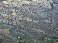 Yuanyang 元阳21