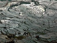 Yuanyang 元阳22