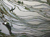 Yuanyang 元阳32