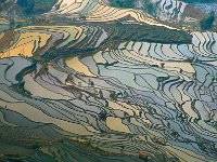 YuanYang Terrace 元阳梯田（2007）