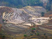 Yuanyang 元阳6