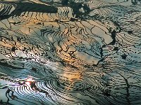 Yuanyang 元阳8