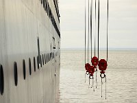 Cruise 游轮48