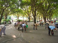 DSC 2673's
