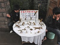 FengHuang 凤凰古城54