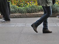 DSC 7059s