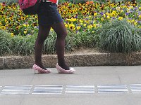 DSC 7089s