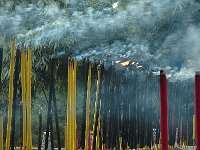 Cultures and Traditions 文化和传统