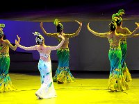 DSC 0987s