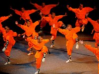 中国少林寺武术表演 （2009）