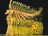 中国残疾人歌舞团（2011）