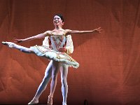 BostonBallet 波士顿芭蕾舞团9