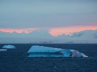 Antartica 南极100