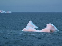 Antartica 南极102