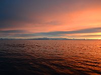 Antartica 南极108