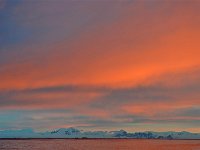 Antartica 南极112