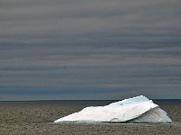 Antartica 南极124