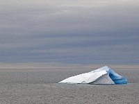 Antartica 南极126