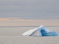 Antartica 南极127