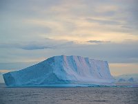 Antartica 南极129