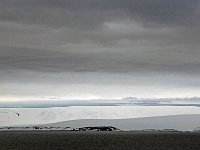 Antartica 南极131