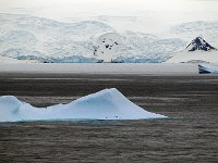Antartica 南极141