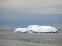 Antartica 南极148