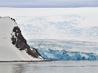 Antartica 南极160