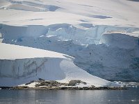 Antartica 南极166