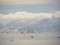 Antartica 南极17