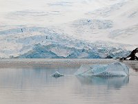 Antartica 南极178