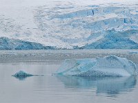 Antartica 南极181
