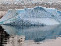 Antartica 南极182