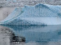 Antartica 南极184