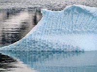 Antartica 南极185