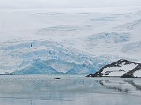 Antartica 南极186