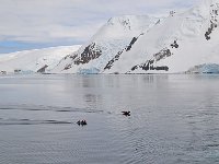 Antartica 南极197