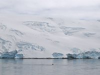 Antartica 南极199