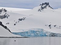 Antartica 南极201