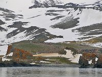 Antartica 南极206