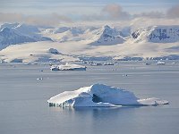 Antartica 南极21